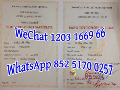 河内国家大学毕业证Diploma from Hanoi National University