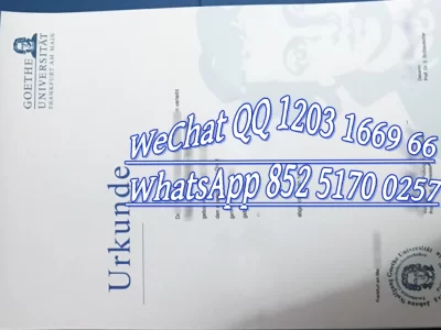 法兰克福大学毕业证Diploma from Frankfurt University