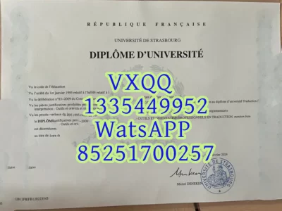 法国雷恩大学毕业证