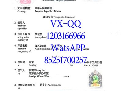 海牙认证