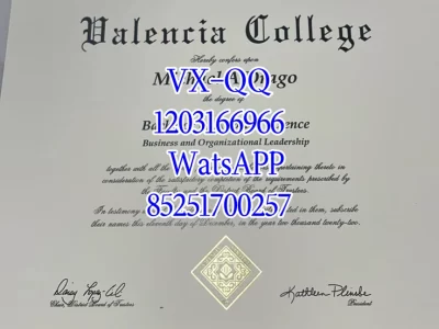 瓦伦西亚大学文凭Diploma from Valencia University
