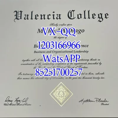 瓦伦西亚大学文凭Diploma from Valencia University