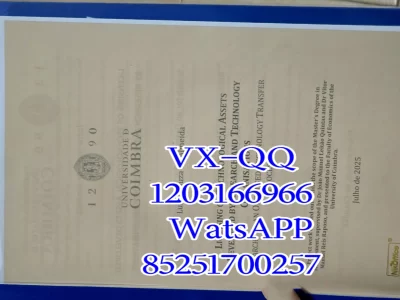 科英布拉大学文凭Diploma from Coimbra University