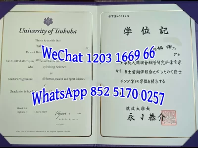 筑波大学毕业证Diploma from Tsukuba University