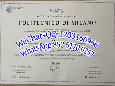 米兰理工大学Politecnico di MILANO