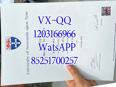 英国纽卡斯尔大学文凭Diploma from Newcastle University, UK