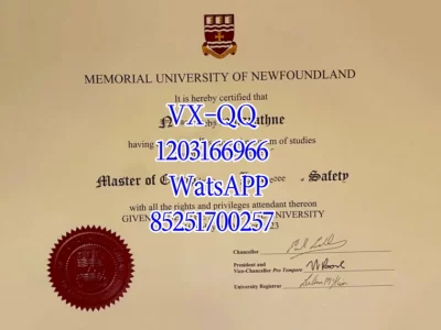 纽芬兰纪念大学毕业证