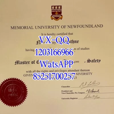 纽芬兰纪念大学学分不够怎么办?补修课程与延迟毕业全指南