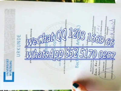 维尔茨堡大学毕业证文凭
