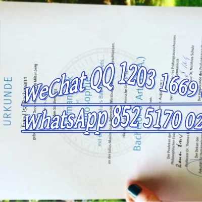 维尔茨堡大学毕业证文凭补办认证指南：成绩单学历证书全解析 (2026版)