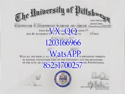美国匹兹堡大学毕业证