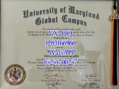 美国马里兰大学文凭Diploma from the University of Maryland, USA