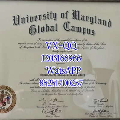 美国马里兰大学文凭Diploma from the University of Maryland, USA