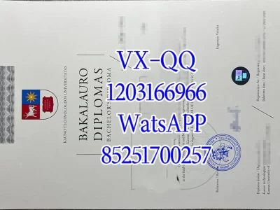 考纽斯大学文凭Diploma from Kaunius University