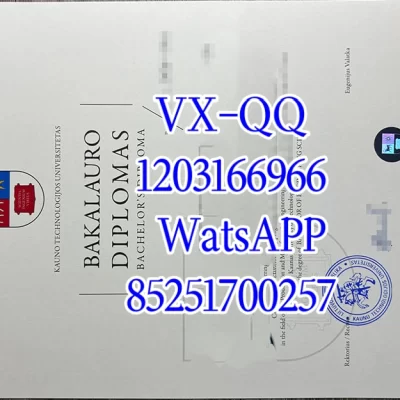 考纽斯大学文凭Diploma from Kaunius University