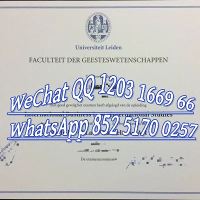 莱顿大学毕业证认证指南｜文凭与学位证区别 & 留服认证全流程