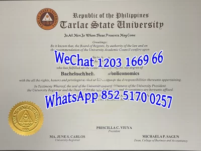 菲律宾国立大学毕业证Diploma from the National University of the Philippines