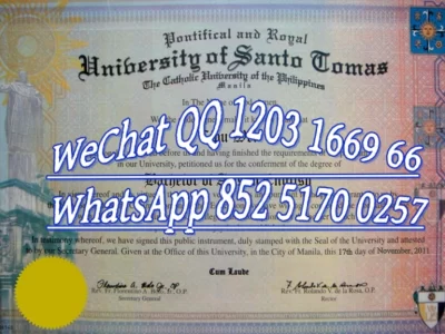 菲律宾圣托马斯大学毕业证Diploma from Saint Thomas University