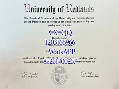 蒙特爱立森大学毕业证