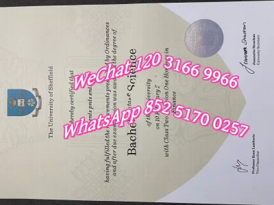 谢菲尔德大学毕业证成绩单