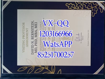 赛梅维什大学Diploma from Semmelweish University_