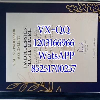赛梅维什大学文凭Diploma from Semmelweish University
