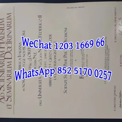 那不勒斯大学文凭Diploma from the University of Naples