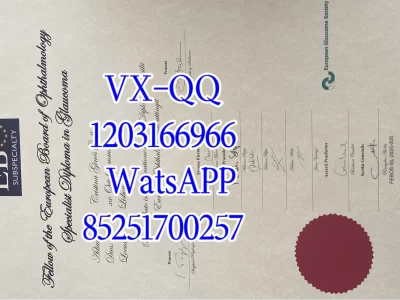 里斯本新大学文凭Diploma from the New University of Lisbon