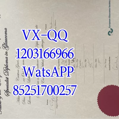 里斯本新大学文凭Diploma from the New University of Lisbon