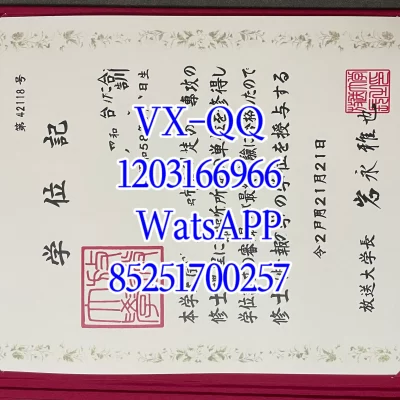 青山学院大学文凭Diploma from Qingshan University
