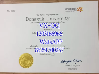 韩东大学文凭Diploma from Handong University