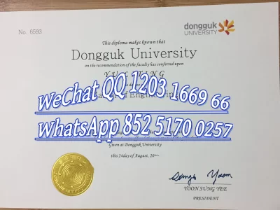 韩国东国大学毕业证