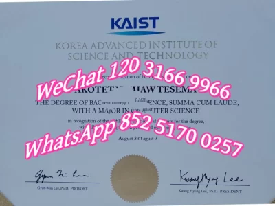 韩国科学技术院（KAIST）和浦项工科大学（POSTECH）