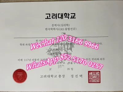 韩国高丽大学毕业证学位证书Diploma from Korea University