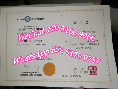 韩国高神大学学位证毕业证
