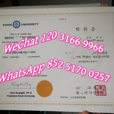 韩国体育大学是一所什么样的大学？2026年最新韩国国立体育大学详细解析：专业课程、申请条件、学费与就业前景