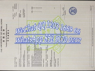 香港大学成绩单毕业证