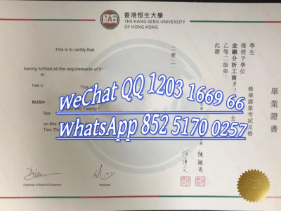 香港恒生大学毕业证文凭
