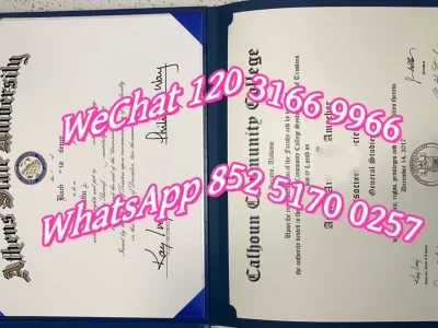 亚历山大大学毕业证-Diploma from Alexander University