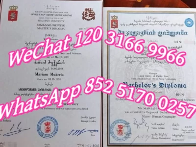 伊利亚国立大学文凭Diploma from Ilia State University_
