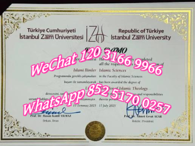 伊斯坦布尔大学毕业证-Diploma from Istanbul University
