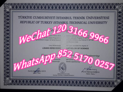 伊斯坦布尔技术大学毕业证-Diploma of Türkiye Strait University