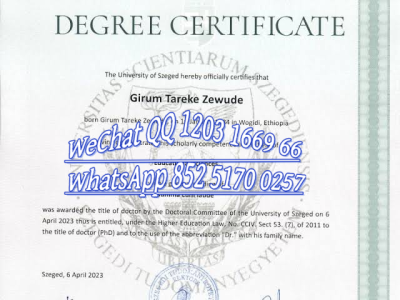 塞格德大学毕业证-Diploma from Szeged University