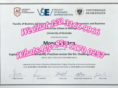 布拉格经济大学毕业证-Diploma from Prague University of Economics