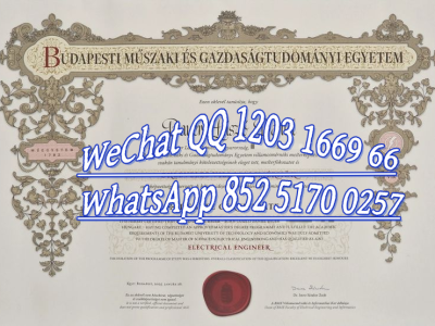 布达佩斯技术与经济大学文凭_Diploma from Budapest University of Technology and Economics