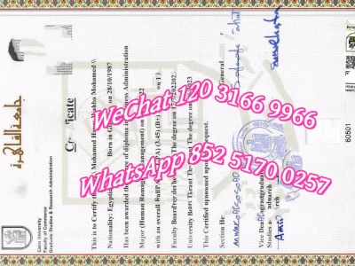 开罗大学毕业证-Diploma from Cairo University