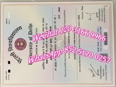 德里大学毕业证-Diploma from Delhi University