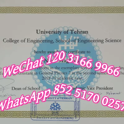 德黑兰大学怎么样?伊朗德黑兰大学2026年深度评测:QS排名、学费与生活费、申请条件、英语授课、留学安全与回国就业前景