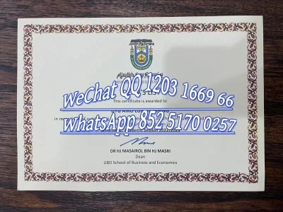 文莱达鲁萨兰大学毕业证-Diploma from Brunei Darussalam University