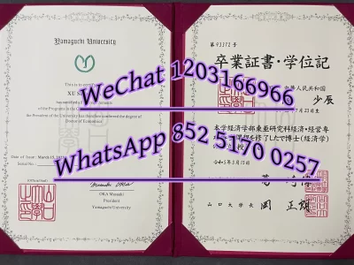 日本山口大学毕业证卒业证书